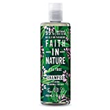 Faith in Nature Champú Natural de Árbol del Té, Purificante, Vegano y No Testado en Animales, sin Parabenos ni SLS, para Cabello de Normal a Graso, 400 ml