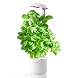 amzWOW Dafne Smart Garden, Kit de Cultivo Interior con Luz de Crecimiento LED de Espectro Completo de autorriego, Altura Ajustable y Temporizador automático - huerto Interior (Blanco)