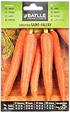 Zanahoria SAINT VALERY