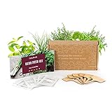 Pack 6x Semillas Plantas Aromáticas y Culinarias - Semillas Orgánicas de España - 6x Marcadores de Bambú - Manual de Plantación Paso a Paso + eBook de Recetas con Hierbas